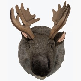 Animal head, Moose
